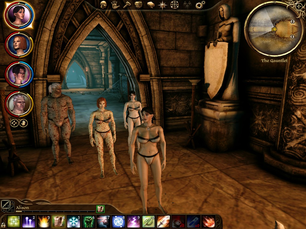Dragon Age Origins Nude Mods